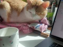 방청소 귀찬하~