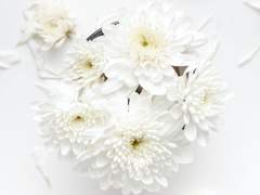 타락한 인간은 무엇이라 할까?