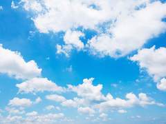 Raymiller Grita / 성인