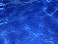 견수일에 대하여