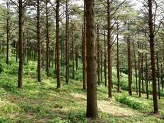 서라벌 화랑들의 나날 8 : 아막성 전투 中-2