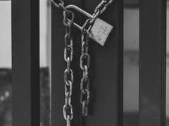 눈을 뜬 使徒의 염원이란