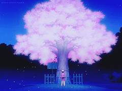 ──⊱⋆⊰──