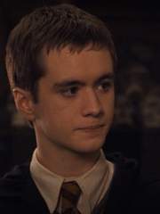 타라는 빗자루는 안 타고 올리버 우드랑 썸 타는 소설