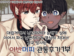 아반머피 관통후기 (풀버전)