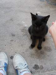 그냥 쓰는 일기