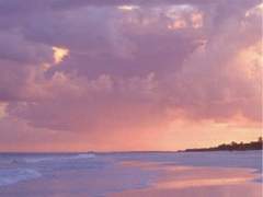 개와 늑대의 시간