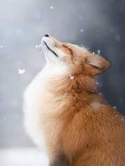 삼사조 리얼리티 프로그램(+삼사조 연성)