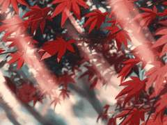 드림 배려 리스트