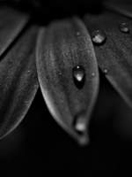 창공, 작열하라!