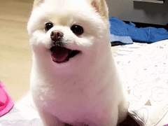 심부름을 나가요