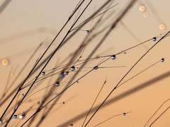 우리에게는 새벽이 익숙했었지.