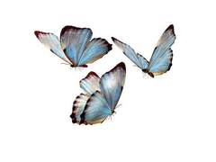 천사가 선물한 마지막 기회라는 말을 들었다