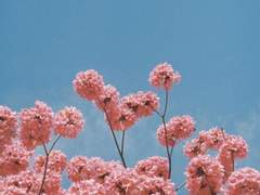 [이환원/이결른] 그 호텔로 가지 마세요.