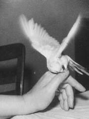 글 커미션 결과물