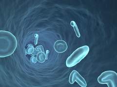 [우노엘리] 선혈을 닮았다.