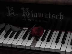 기억은 실제로 닥쳐왔던 불행만을 간직하고있기에,