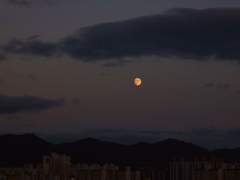 금화살과 오른쪽 심장