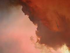 [현대팀] 여명전운餘命戰雲