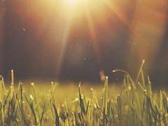 변치 않을 감정