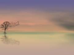 걸어왔던 길은 다르지만 우리의 시작점은 같으니.