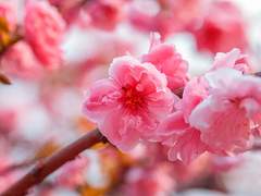 [루크빌] Happy Ending