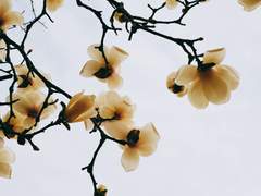 글 커미션: 안녕, 여기는 행복 동호회입니다