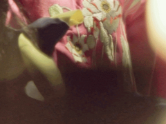 멋진 신세계 上