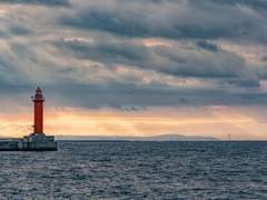 생존 약속 生存約束