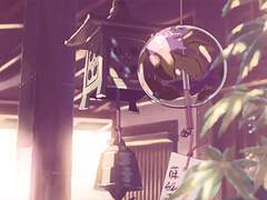 세나 메구미 공개 프로필