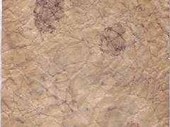 [도미노 학원에 어서오세요] 입학식