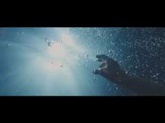 흰점박이 해파리 피뎀