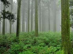 [고래별/해수수아] 시선 (5)