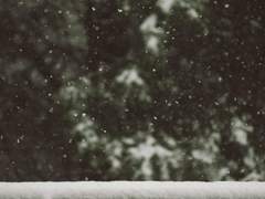 210227 &middot; 밤 산책