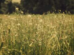 먼 여행을 떠나고 있을 너에게.