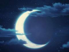 그대 사랑을...5