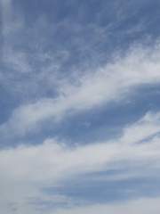 구름위의 소망들 (뜰팁 신화물)