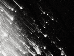 비상음(飛上音)이었다. 매가 먹빛의 창공을 유영하면서, 아로새기는 이 혁명의 울음이.