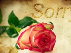 둘이 두리 도리 도리