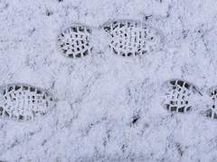 [천월애] 사계 中 겨울