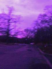 Aria Harris 단편 모음