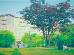 펜트하우스 10회 윤희윤철 회상씬