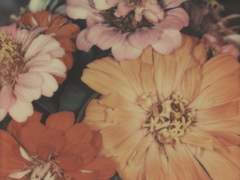 신은 우릴 버렸어 너도 알잖아