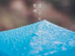 우리가 함께 장마를 볼 수 있겠습니다