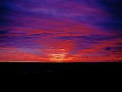 붉게 물든 가면