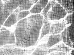 우리가 사랑하는 동안에 후기