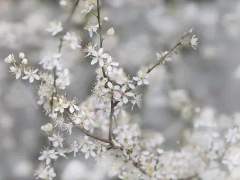 등전만리심(燈前萬里心)_외전