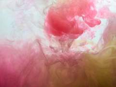 붉은 과실은 도통 이해하지 못했다.