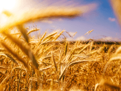 영웅은 없다 2 (完)