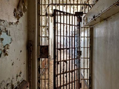 그 동물원의 실상은